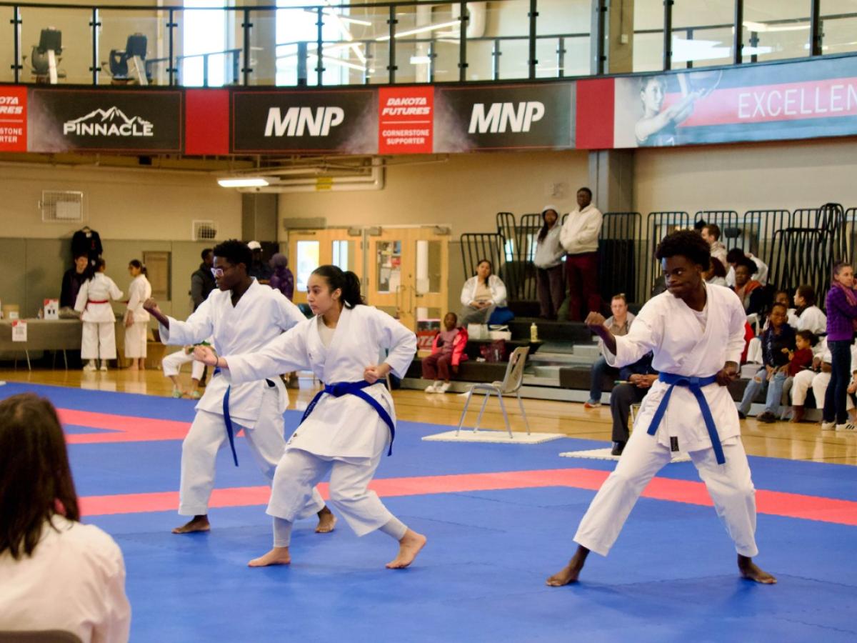Karate Manitoba Provincial Open